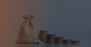Análise da Medida Provisória 1227/24 e Seus Impactos nos Negócios